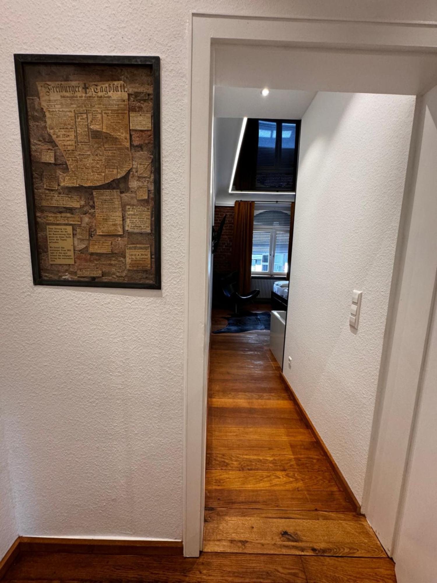 Historical Luxury Homes - Luxus Loft Wallstreet Freiburg Bagian luar foto